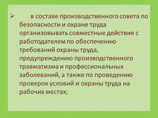 slide_prava_prof_93